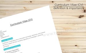 What is a Curriculum vitae (CV) ?